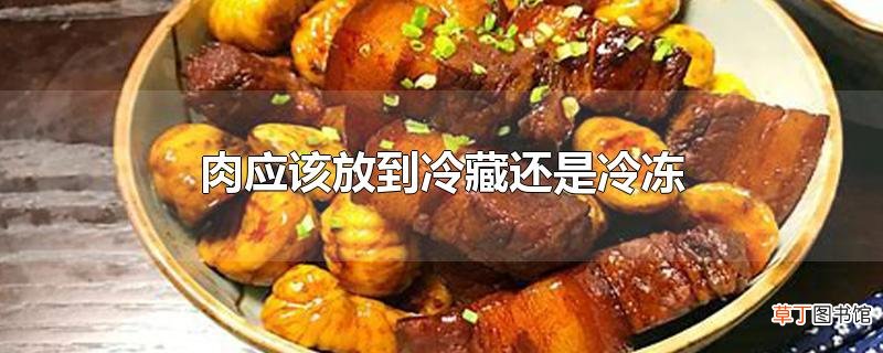 肉应该放到冷藏还是冷冻