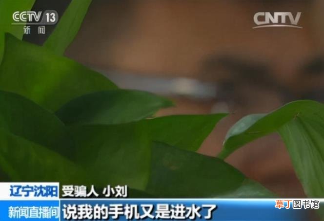 经典赞美秋菊的古诗 赞美菊花的诗句有哪些
