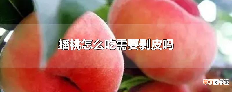 蟠桃怎么吃需要剥皮吗