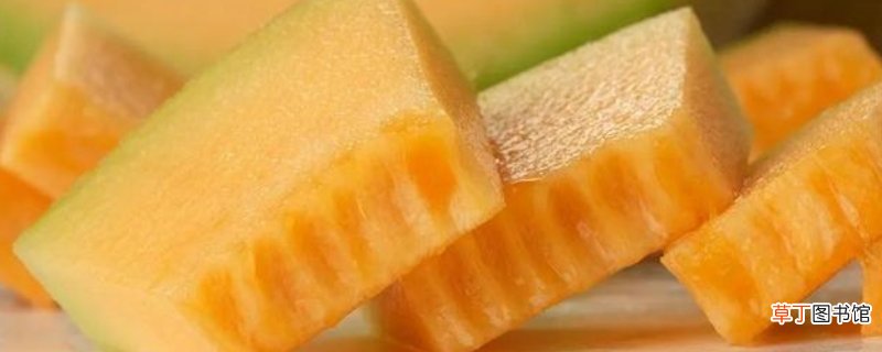 哈密瓜的皮可以吃吗