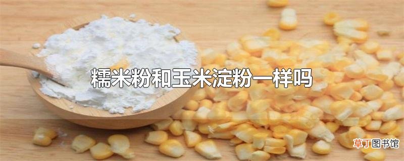 糯米粉和玉米淀粉一样吗