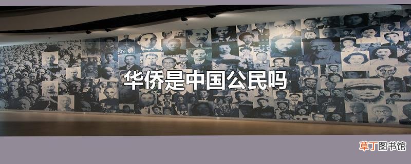 华侨是中国公民吗