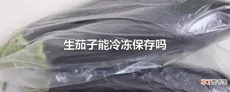 生茄子能冷冻保存吗