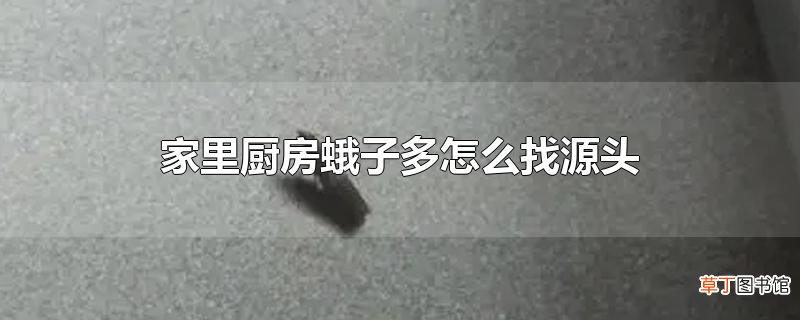 家里厨房蛾子多怎么找源头