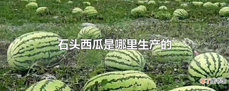 石头西瓜是哪里生产的