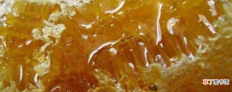 蜜蜂是怎么采蜜的