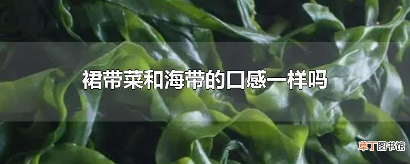 裙带菜和海带的口感一样吗