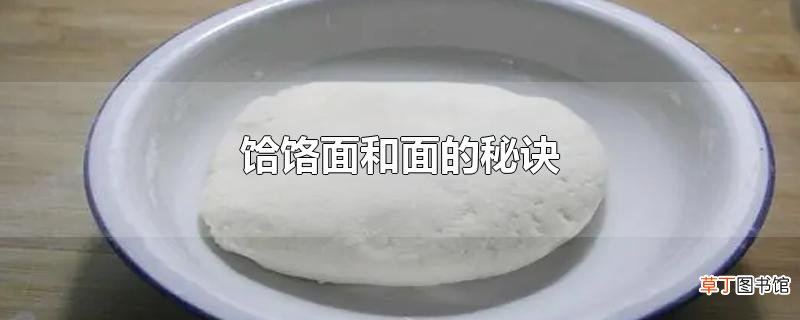 饸饹面和面的秘诀