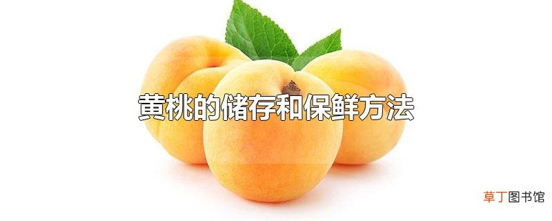 黄桃的储存和保鲜方法