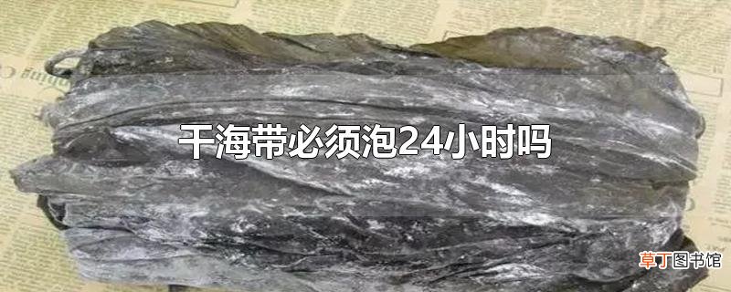 干海带必须泡24小时吗