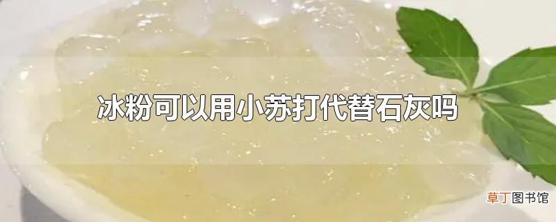 冰粉可以用小苏打代替石灰吗