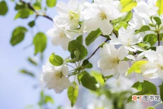 风的古诗 古人眼中春夏秋冬的风