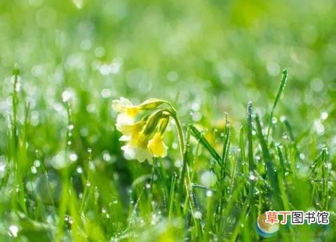 风的古诗 古人眼中春夏秋冬的风