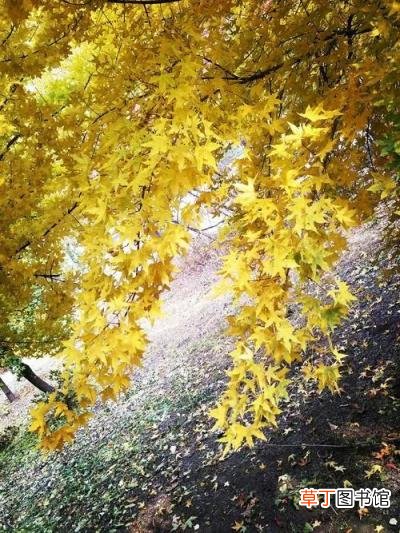 风的古诗 古人眼中春夏秋冬的风