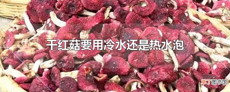 干红菇要用冷水还是热水泡