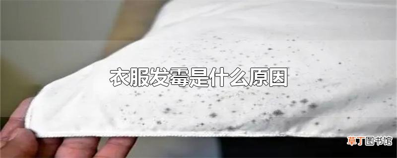衣服发霉是什么原因