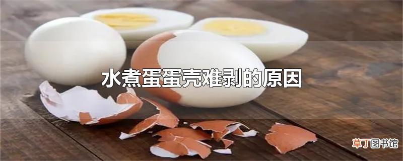水煮蛋蛋壳难剥的原因