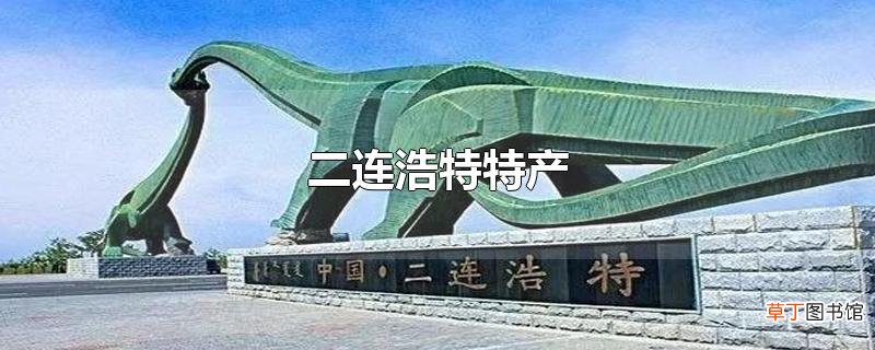 二连浩特特产