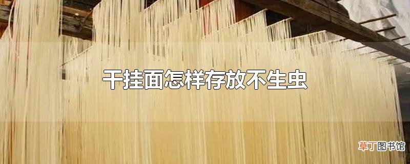 干挂面怎样存放不生虫