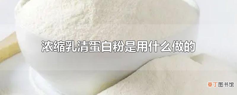 浓缩乳清蛋白粉是用什么做的