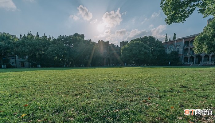 青岛大学招专科生吗