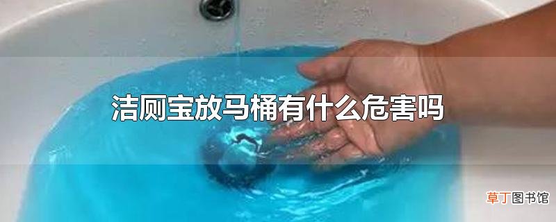 洁厕宝放马桶有什么危害吗