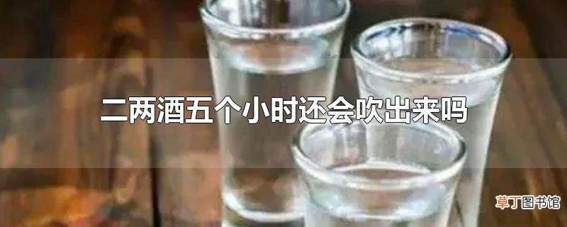 二两酒五个小时还会吹出来吗