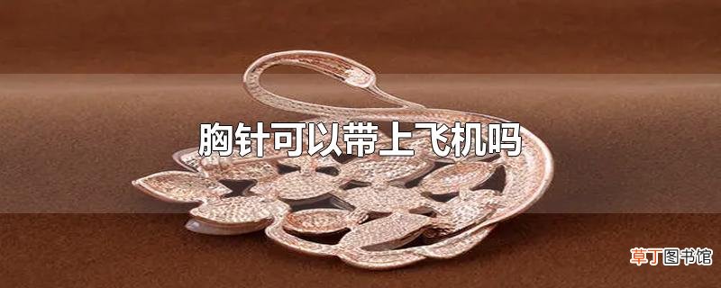 胸针可以带上飞机吗