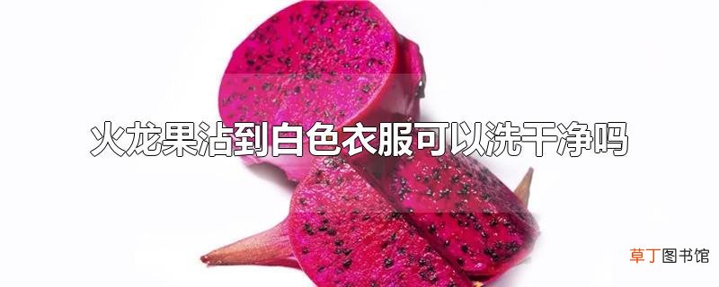 火龙果沾到白色衣服可以洗干净吗