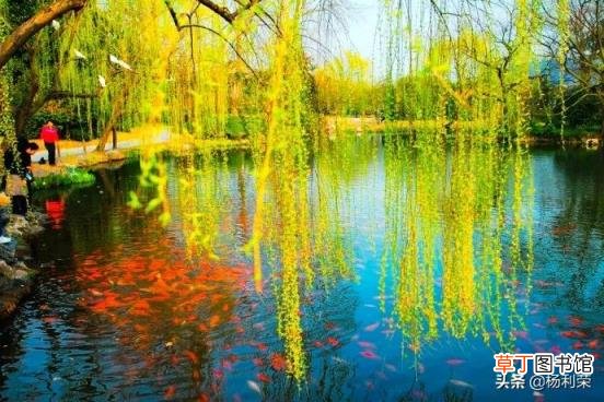 关于西湖的古诗分享 西湖古诗大全