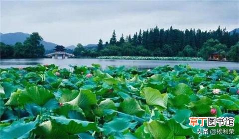 关于西湖的古诗分享 西湖古诗大全