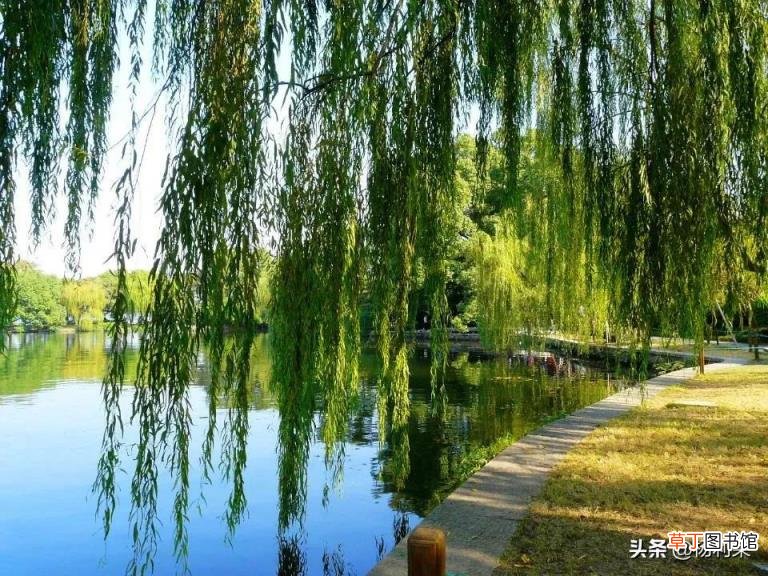 关于西湖的古诗分享 西湖古诗大全
