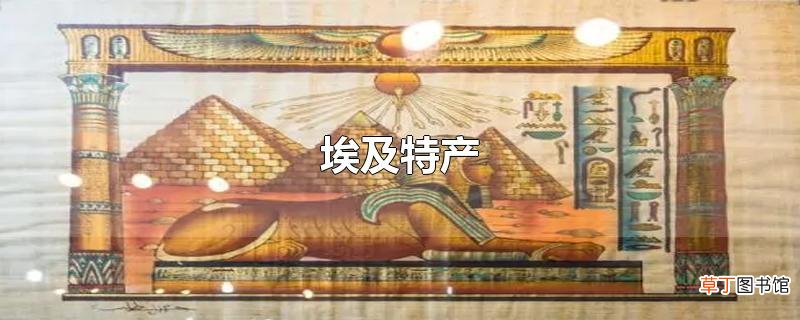 埃及特产