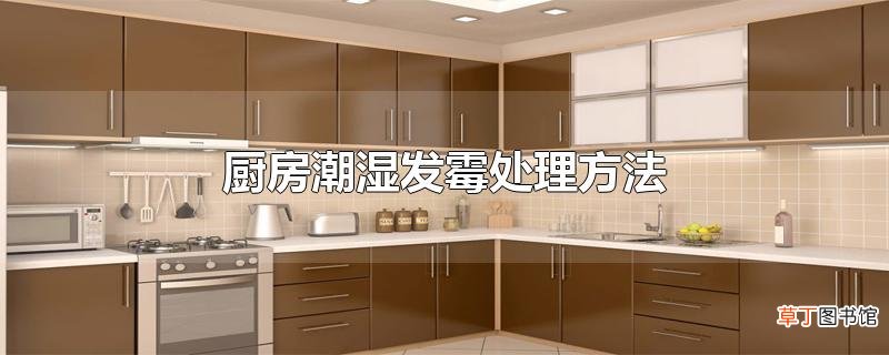 厨房潮湿发霉处理方法
