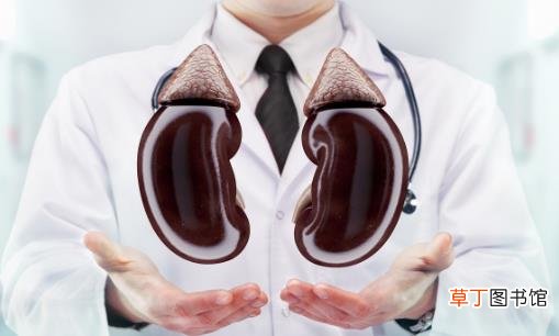 出现4个症状可能是你肾不好 肾气不足的补肾食疗方