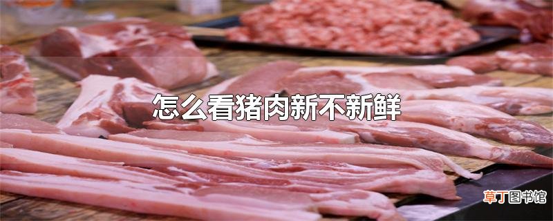 怎么看猪肉新不新鲜