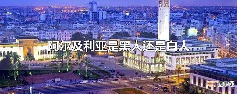 阿尔及利亚是黑人还是白人