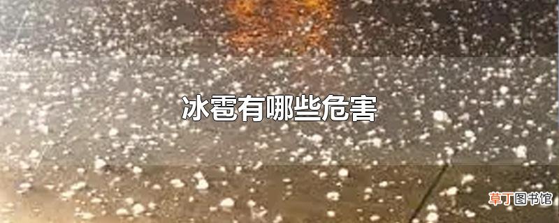 冰雹有哪些危害