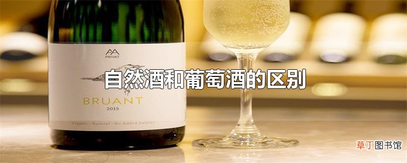 自然酒和葡萄酒的区别