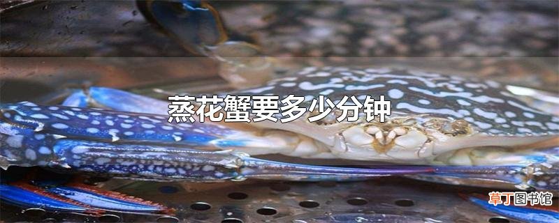 蒸花蟹要多少分钟