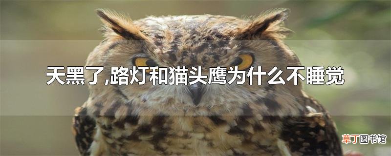 天黑了,路灯和猫头鹰为什么不睡觉
