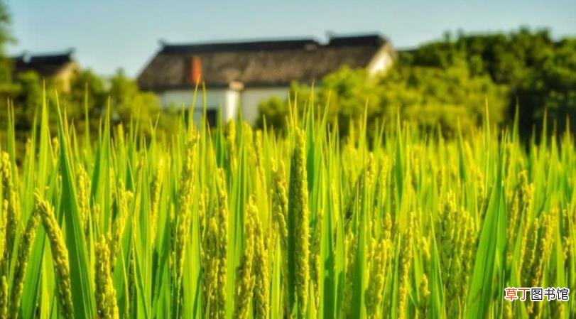 收集与秋天有关的诗句 与秋天有关的诗句有哪些