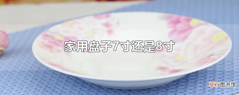 家用盘子7寸还是8寸