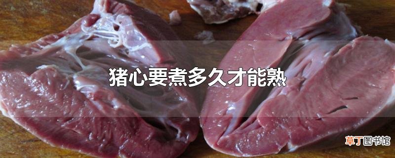 猪心要煮多久才能熟