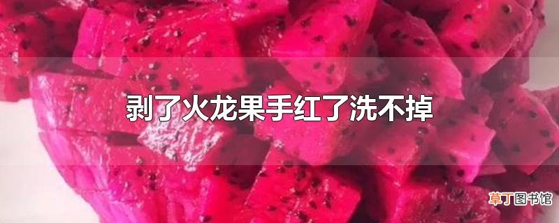 剥了火龙果手红了洗不掉