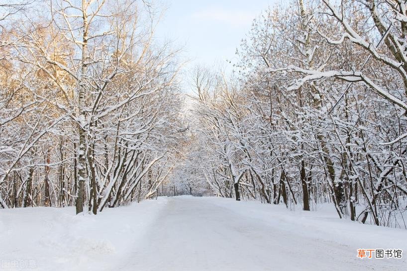 写雪的诗句 关于雪的优美诗句