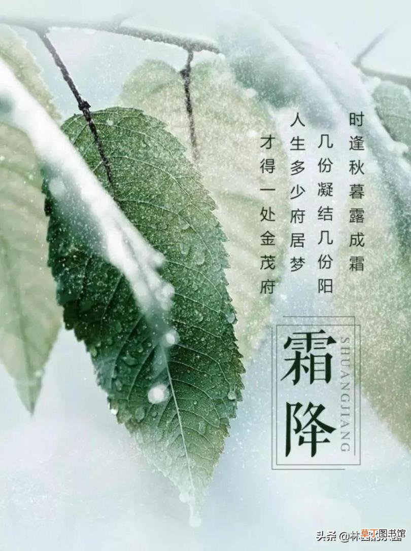 写霜降的诗句古诗大全 描写霜降的诗句古诗词