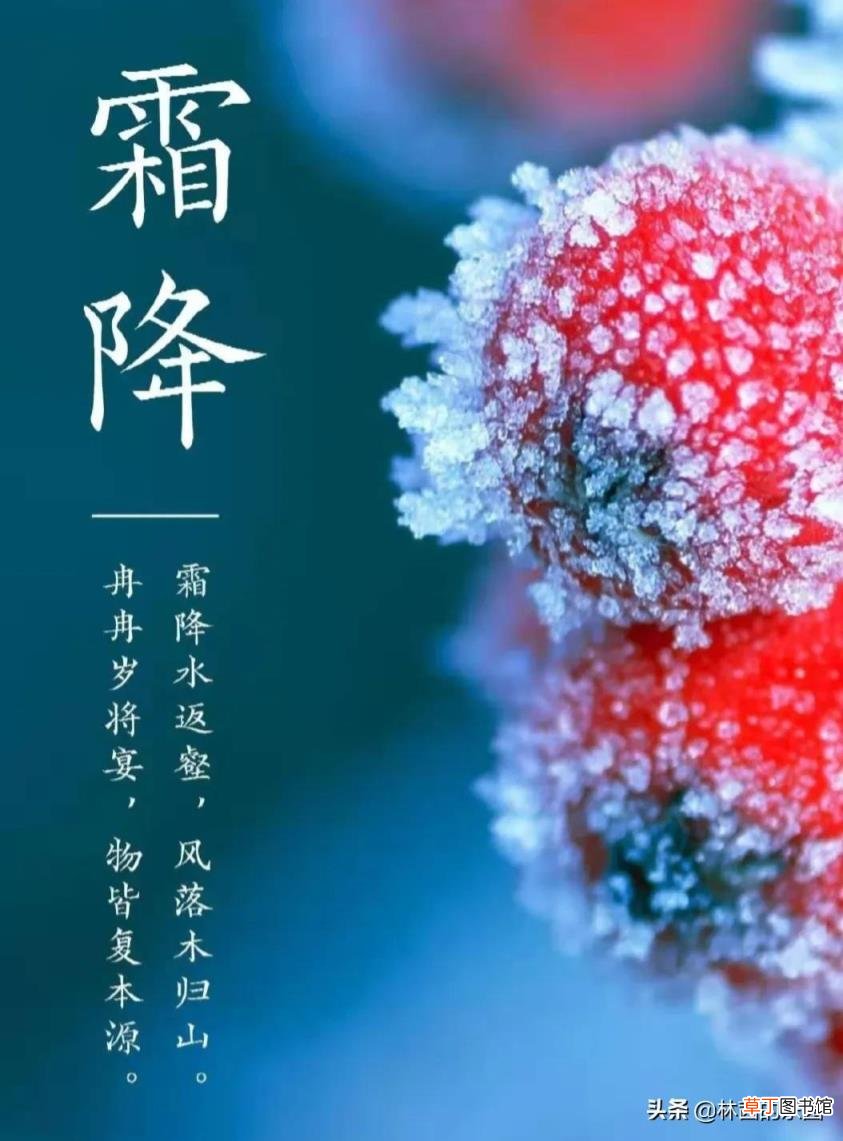 写霜降的诗句古诗大全 描写霜降的诗句古诗词