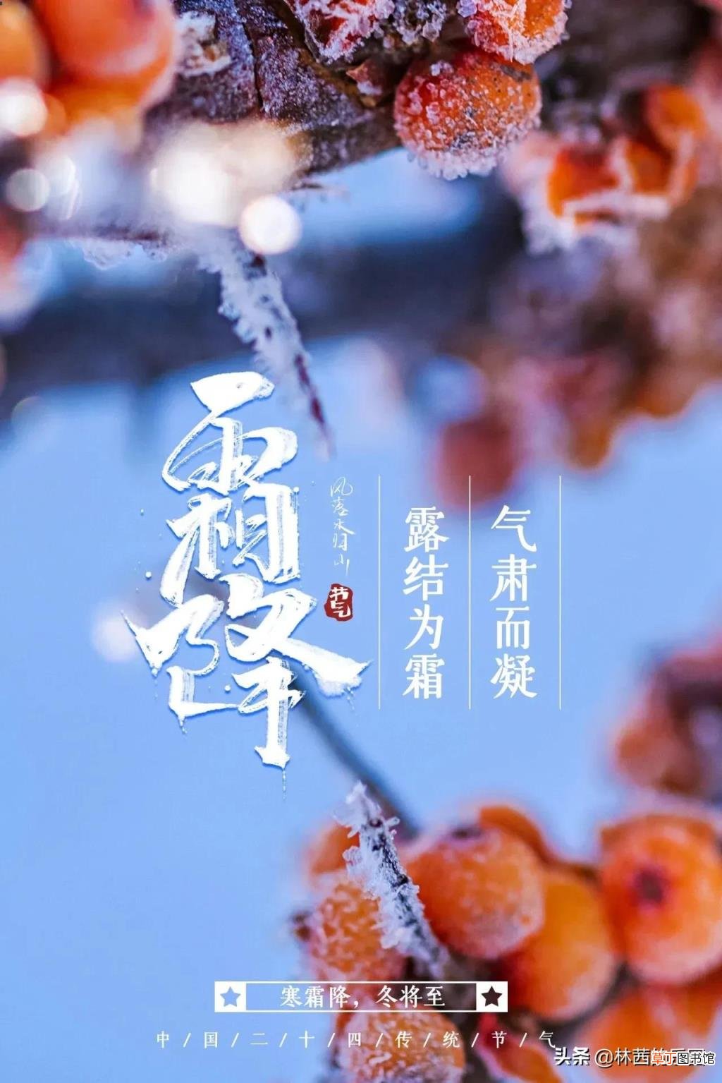 写霜降的诗句古诗大全 描写霜降的诗句古诗词