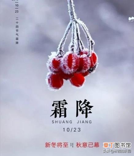 写霜降的诗句古诗大全 描写霜降的诗句古诗词